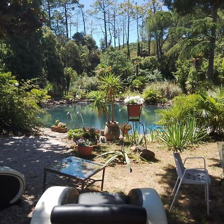 Chambre Studio Verparadis Moureze ภายนอก รูปภาพ
